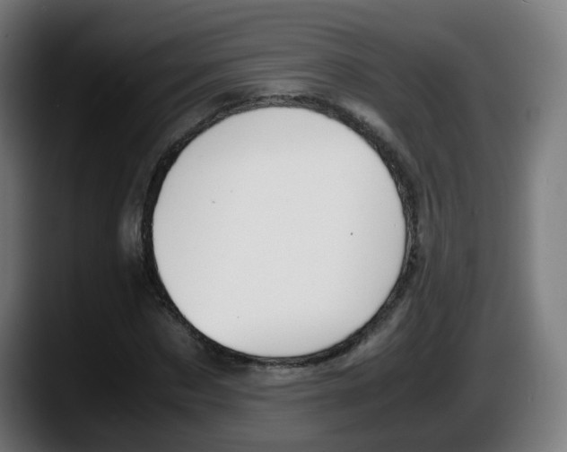 X0000087560873200705251758