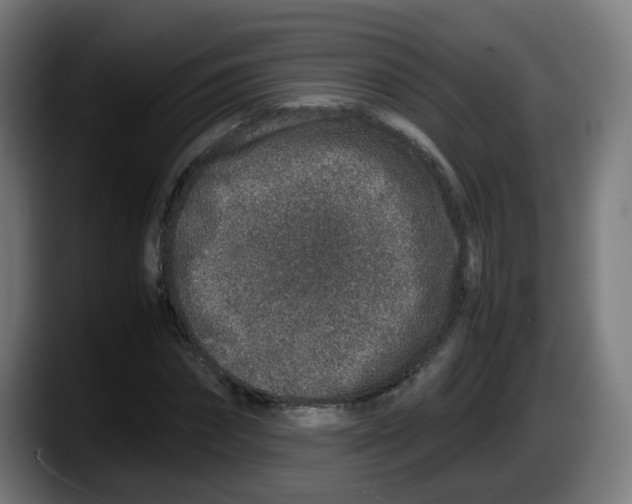 X0000087560874200705251758