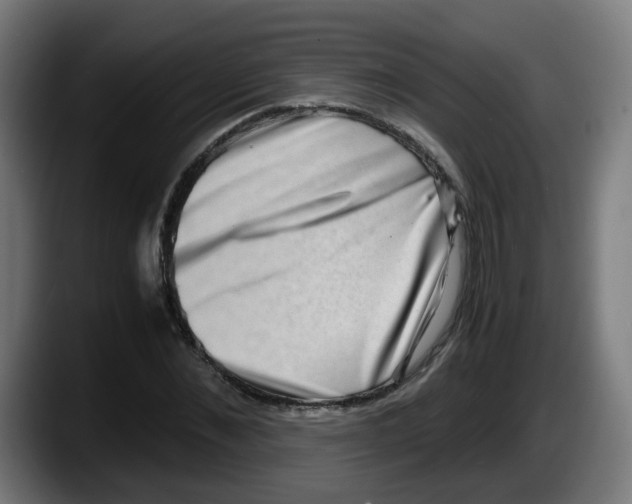 X0000087560876200705251758