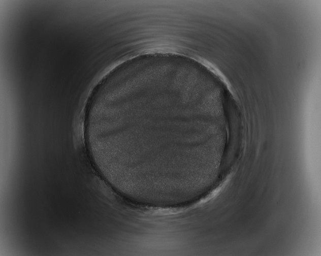X0000087560877200705251758