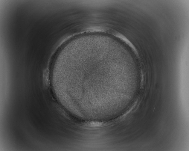 X0000087560878200705251758