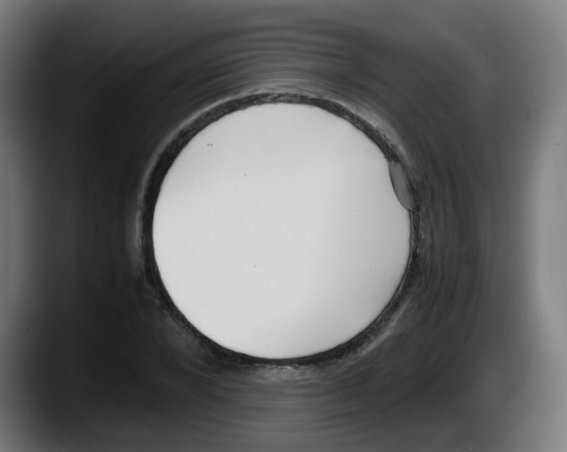 X0000087560880200705251758