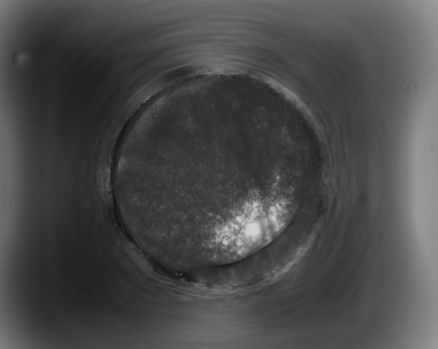 X0000087560881200705251758