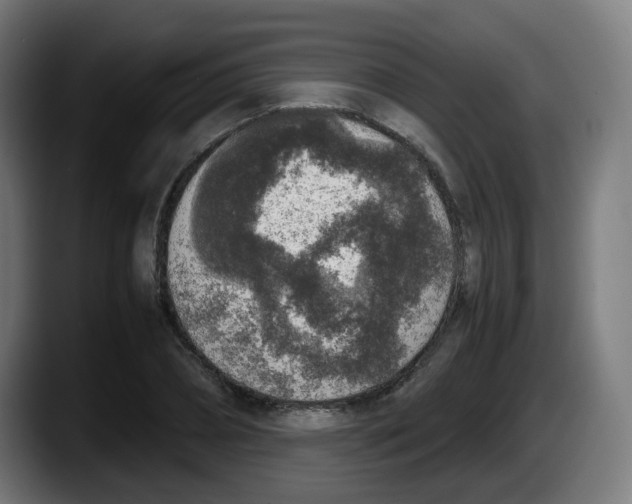 X0000087560882200705251758