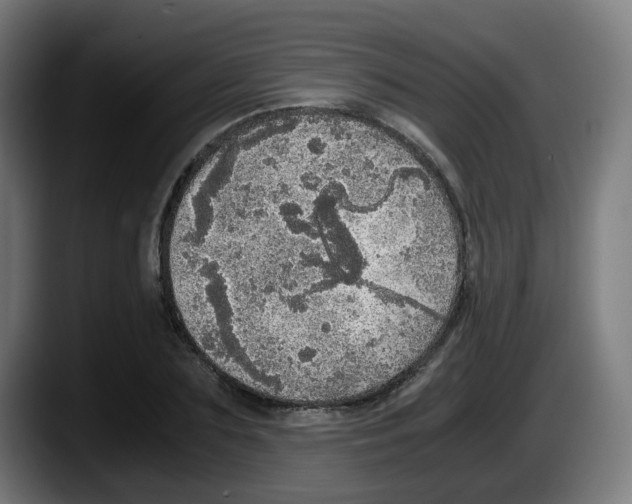 X0000087560883200705251758