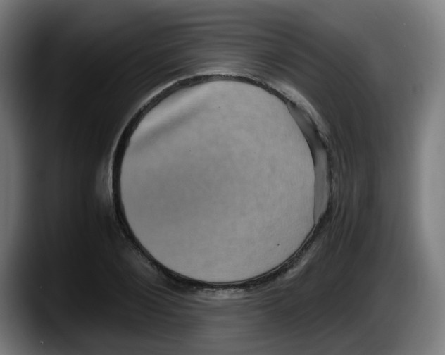 X0000087560884200705251758