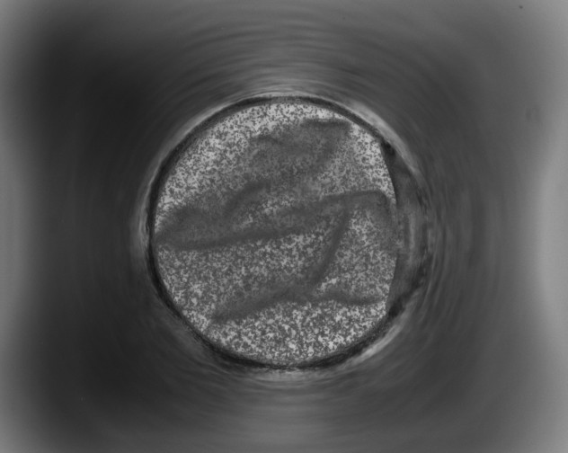 X0000087560885200705251758