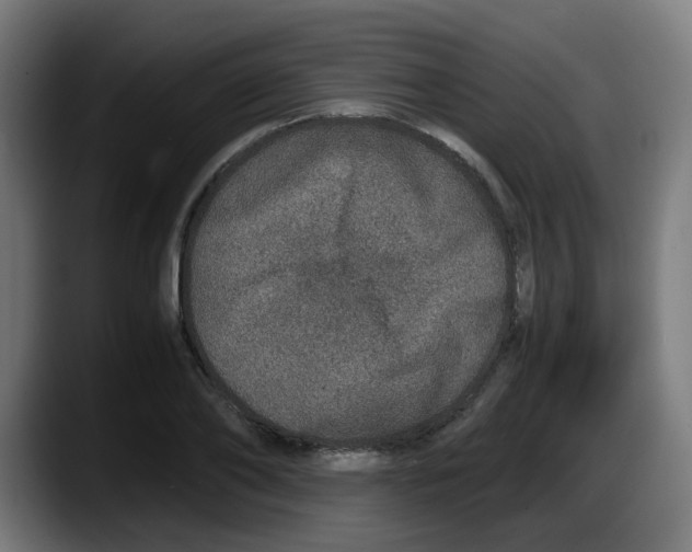 X0000087560886200705251758