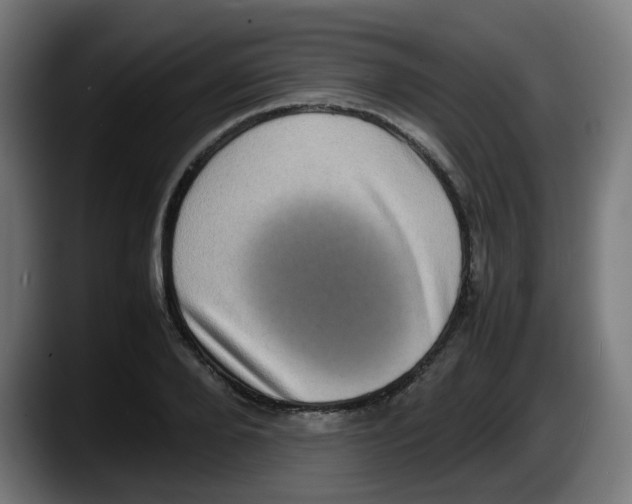 X0000087560888200705251758