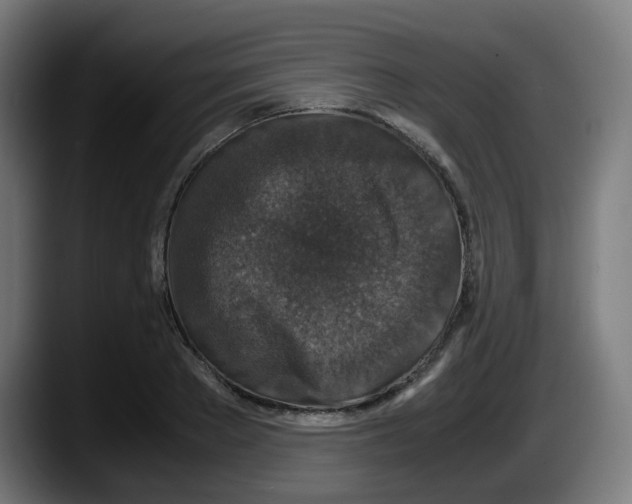 X0000087560889200705251758