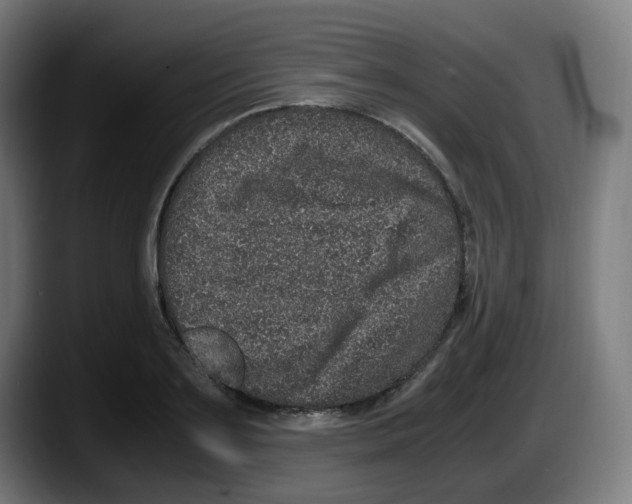 X0000087560891200705251758
