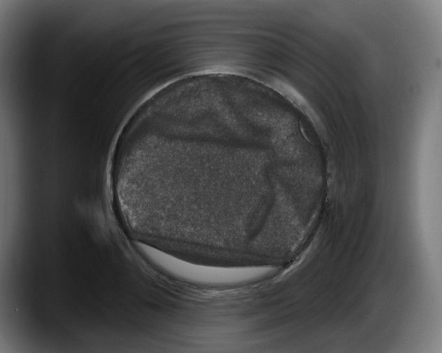 X0000087560892200705251758