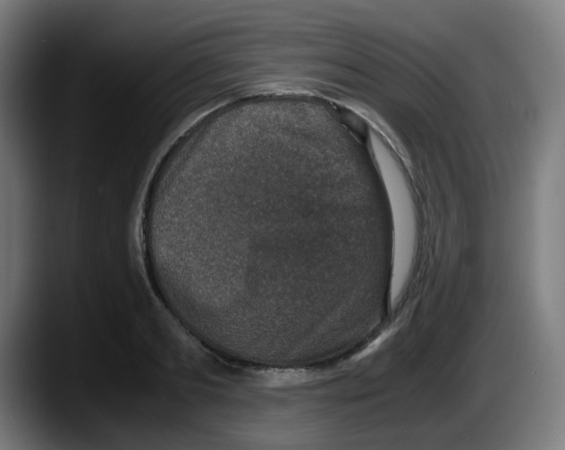 X0000087560893200705251758