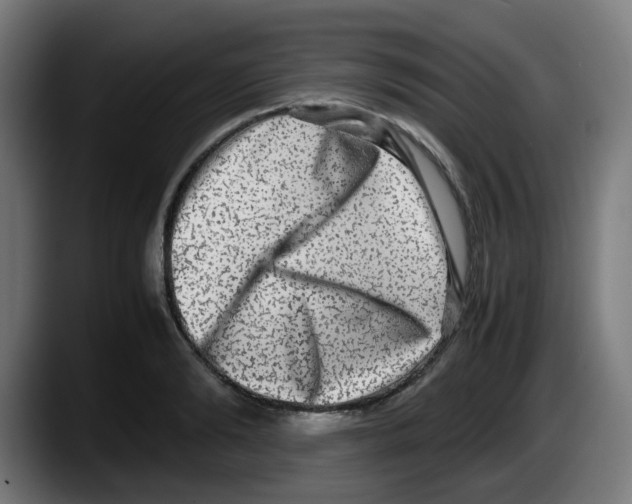 X0000087560894200705251758