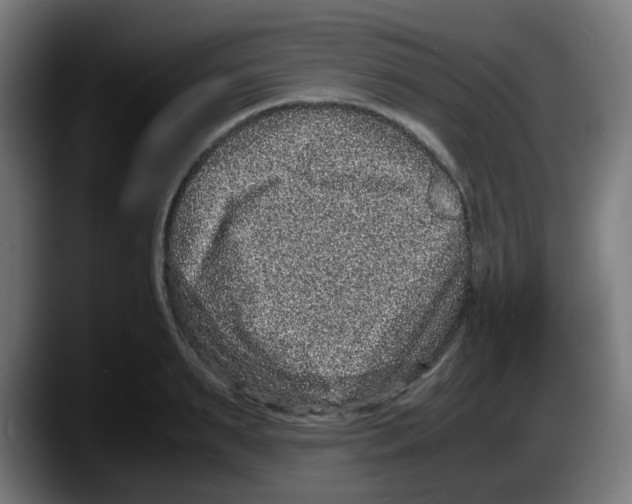 X0000087560895200705251758
