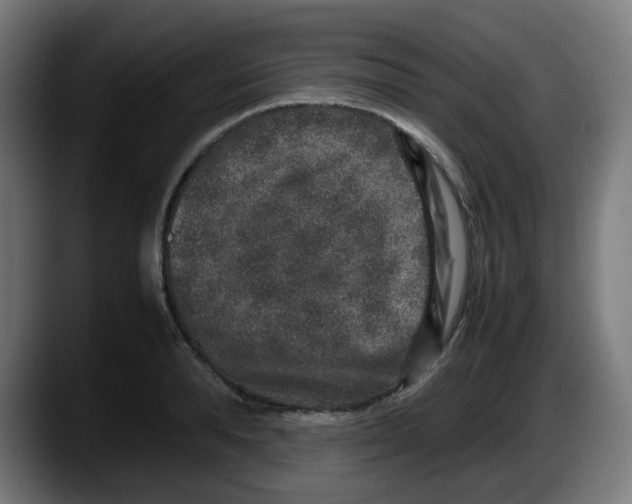 X0000087560896200705251758