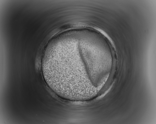 X0000087560897200705251758