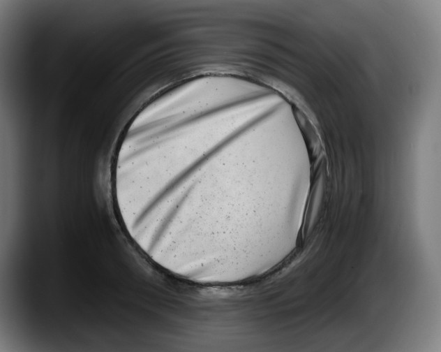 X0000087560898200705251758