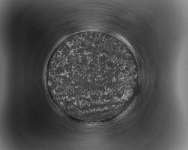 X0000087560899200705251758