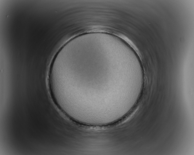 X0000087560901200705251758