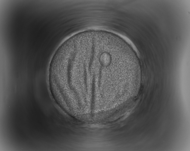 X0000087560903200705251758