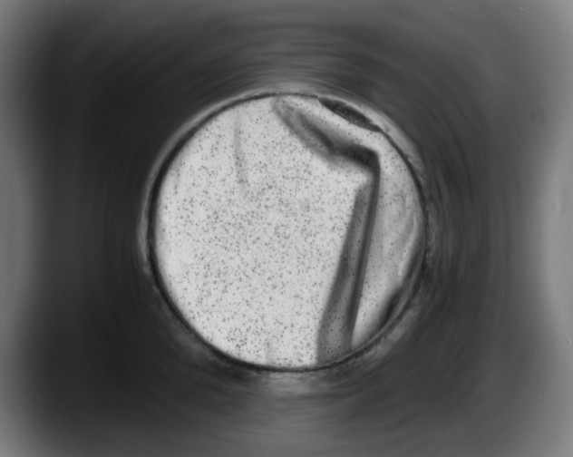 X0000087560904200705251758