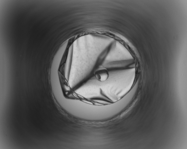 X0000087560905200705251758