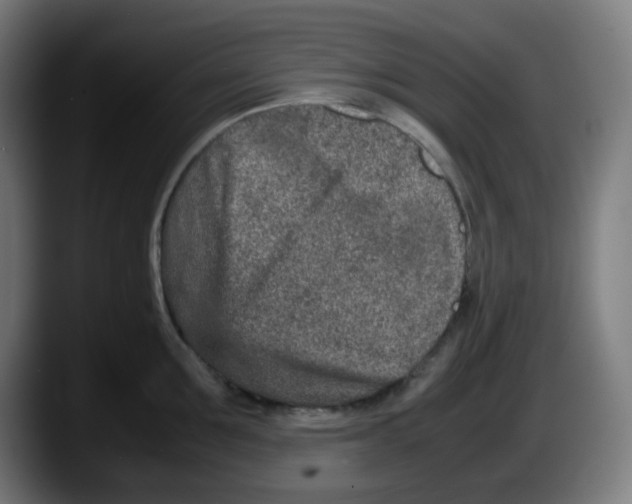 X0000087560907200705251758