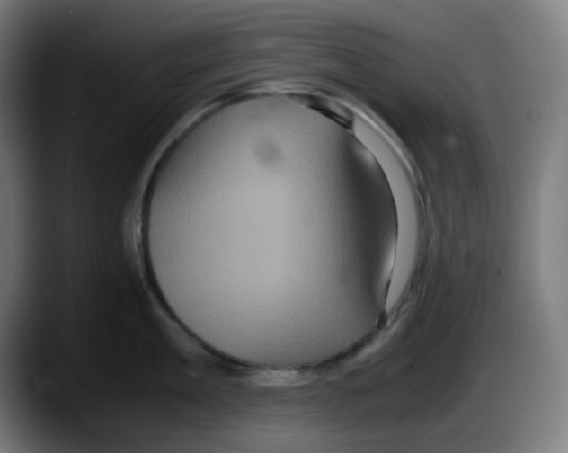 X0000087560909200705251757