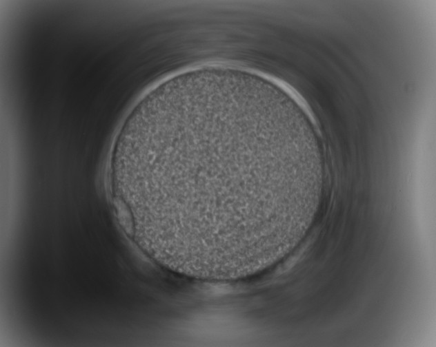 X0000087560911200705251757