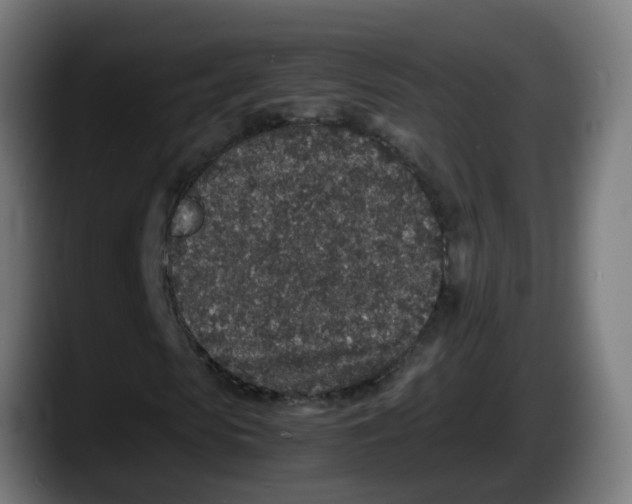 X0000087560913200705251757