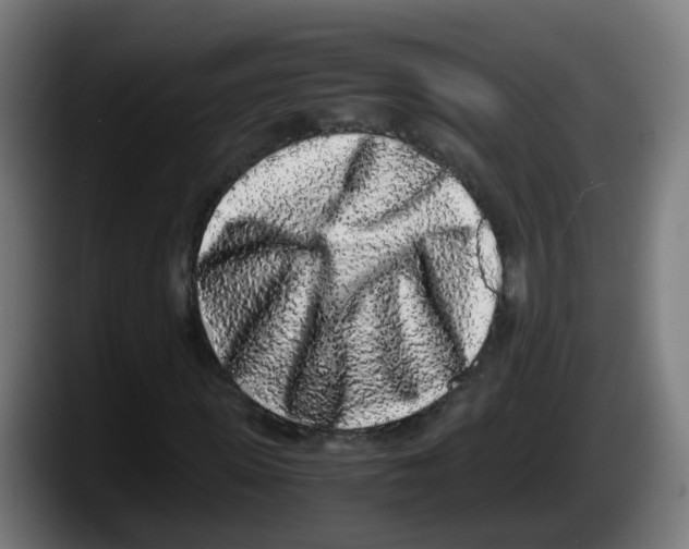 X0000087560915200705251757