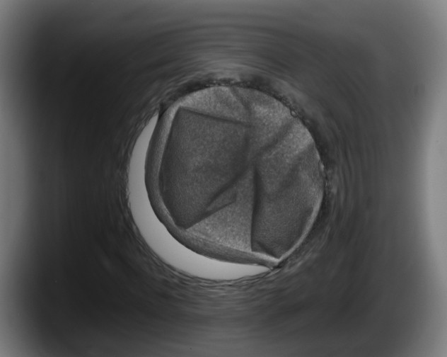 X0000087560916200705251757