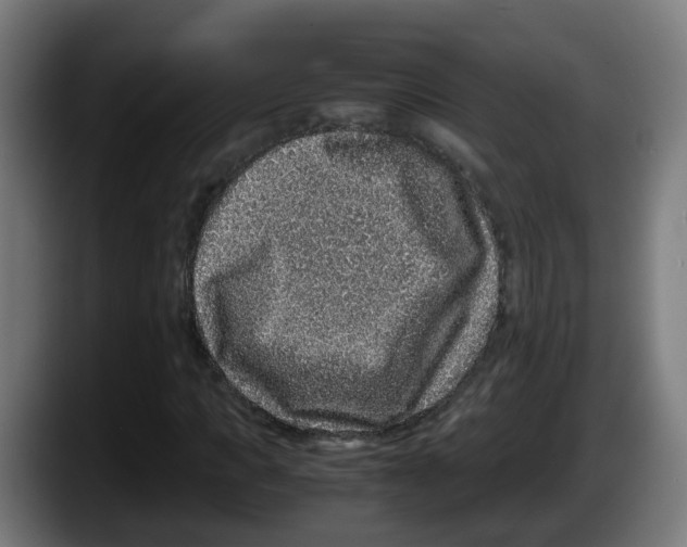 X0000087560917200705251757