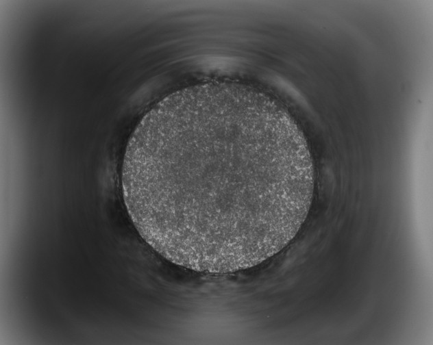 X0000087560918200705251757