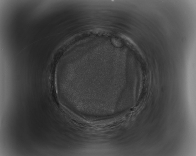 X0000087560919200705251757
