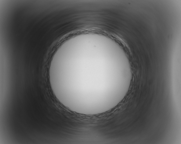 X0000087560920200705251757