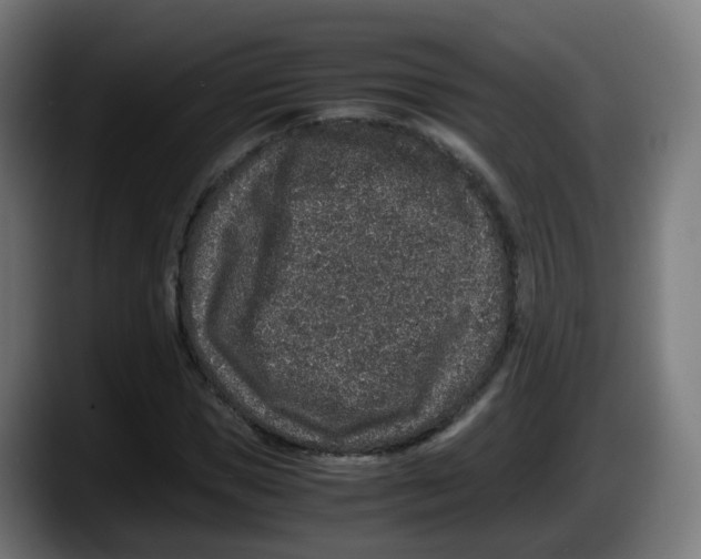 X0000087560921200705251757