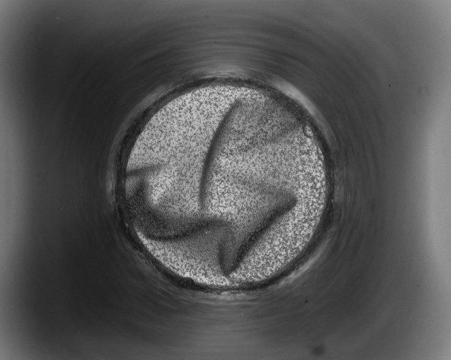 X0000087560922200705251757