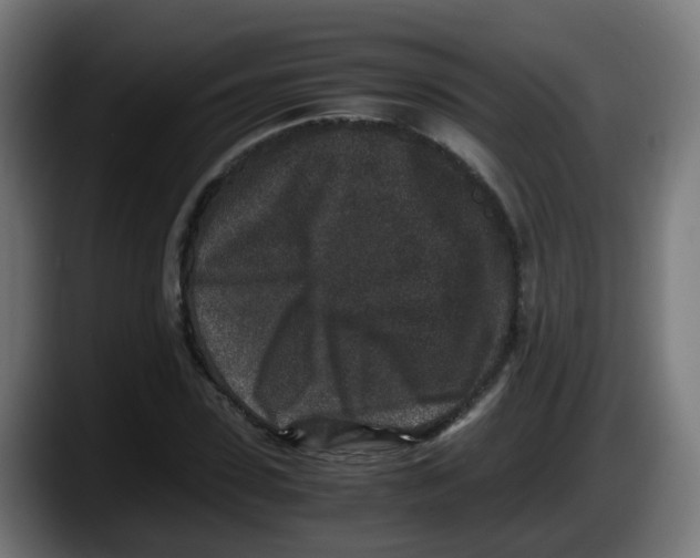 X0000087560923200705251757