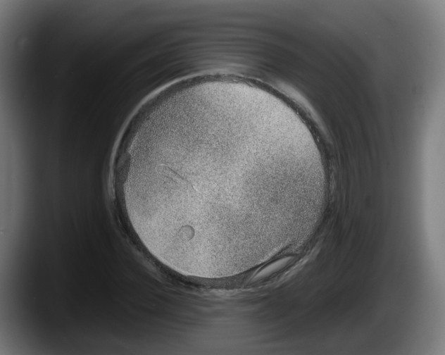 X0000087560924200705251757