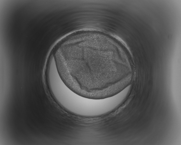 X0000087560928200705251757