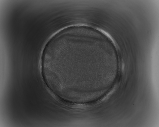 X0000087560935200705251757