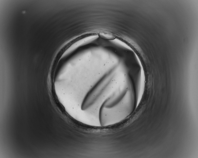 X0000087560936200705251757
