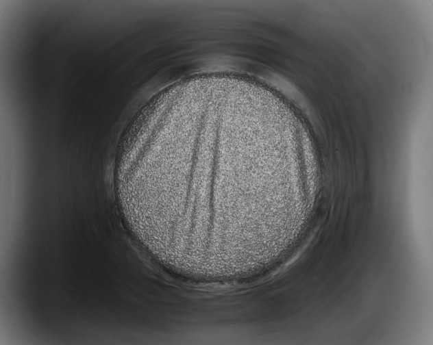 X0000087560937200705251757