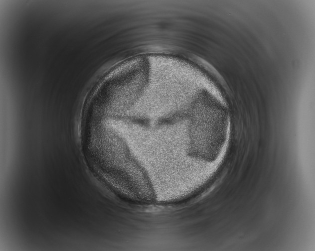 X0000087560938200705251757