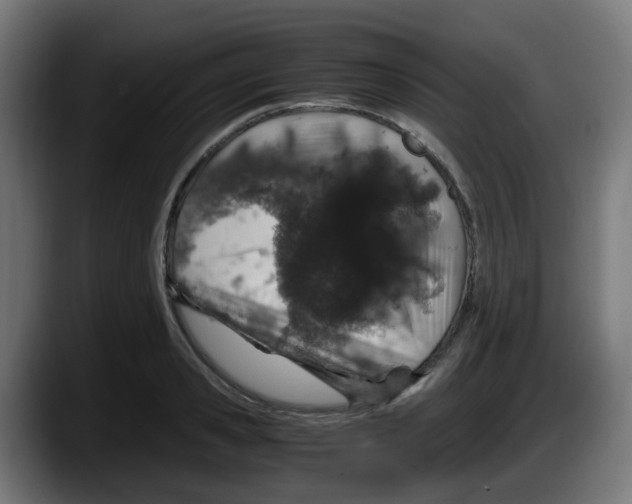 X0000087560941200705251757