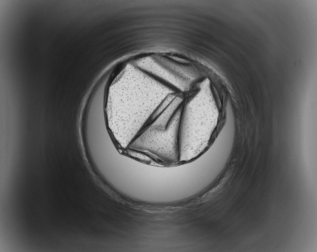 X0000087560942200705251757
