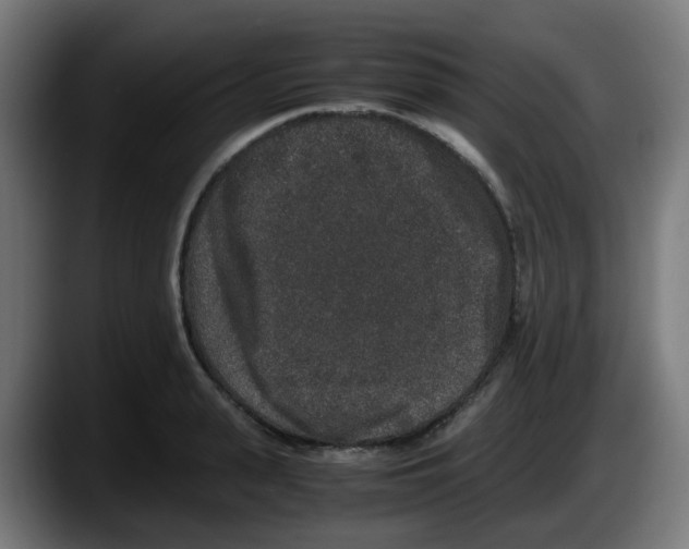 X0000087560943200705251757