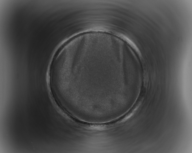 X0000087560944200705251757
